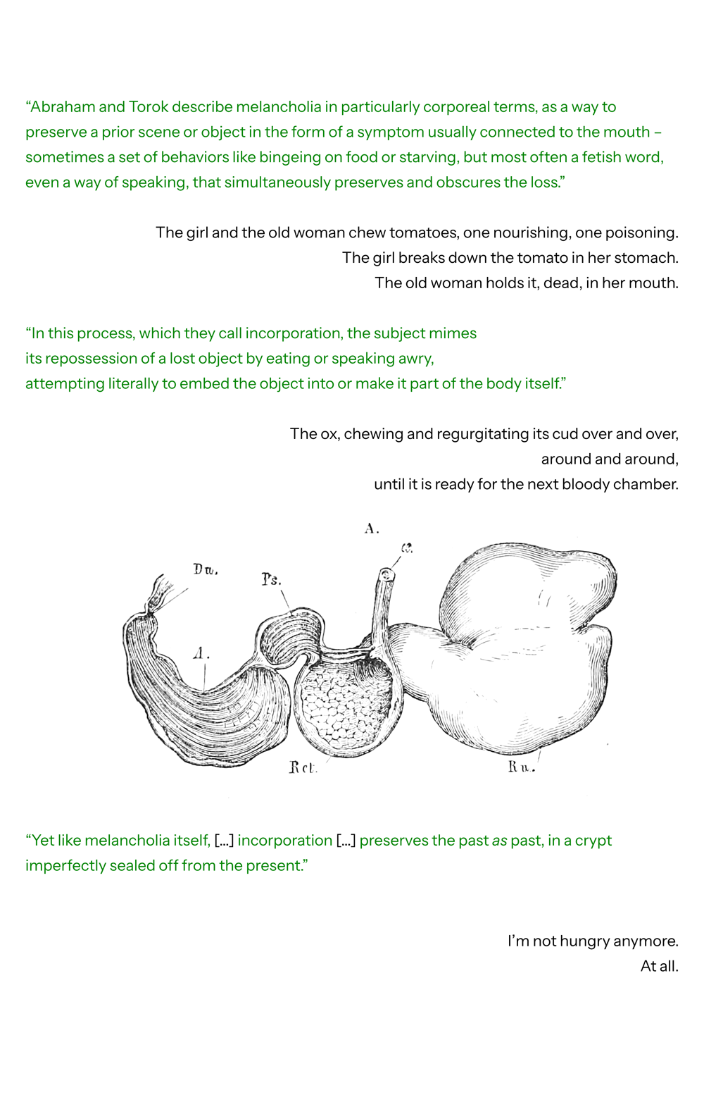 Page 6 of "Why Are We Spiraling Around the Campfire?" by Jeff Joseph Katz