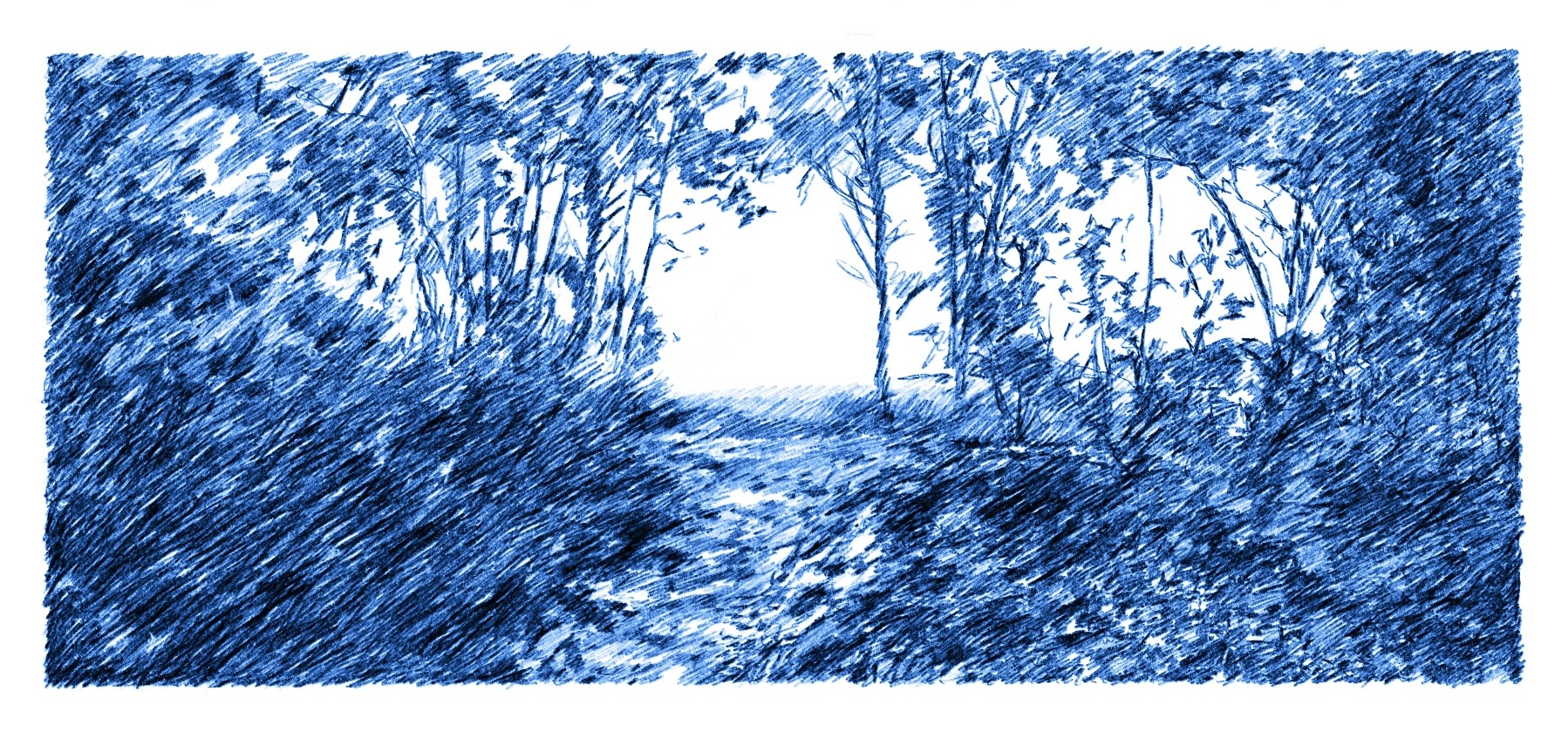 Hand-drawn picture of a path and forest leading to a clearing