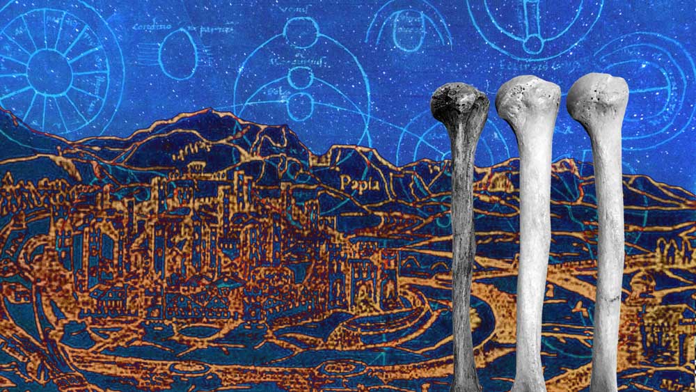The featured artwork was created for this piece by our Art Director, Meg Sykes.