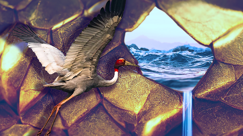 The featured artwork was created for this piece by our Art Director, Meg Sykes.